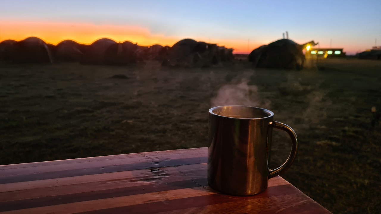 9 Best Instant Coffee for Camping That Taste Great Outdoors