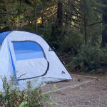 Best 4 Man Tents With Standing Room for Ultimate Comfort