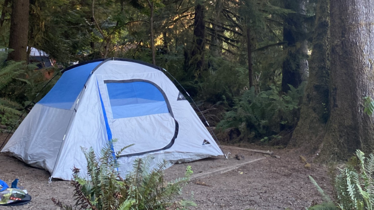 Best 4 Man Tents With Standing Room for Ultimate Comfort